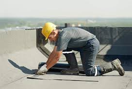 Best Asphalt Shingles Roofing  in Sewalls Point, FL